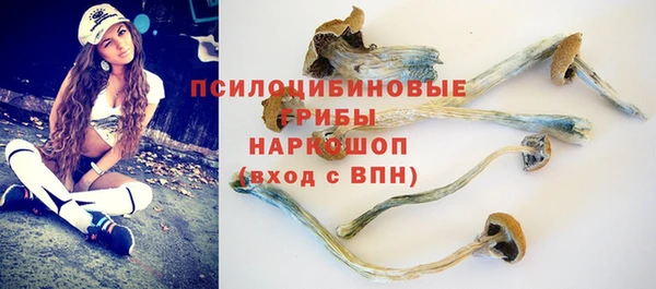 спиды Кинешма
