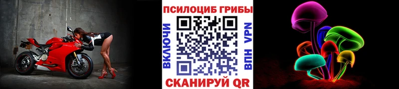 Галлюциногенные грибы Psilocybine cubensis  Купить  Сертолово 